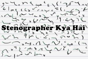 stenographer kya hai